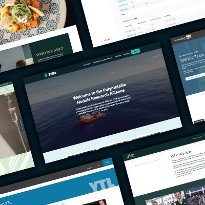 Collage of website screenshots featuring various designs and content, including a sea exploration organization and team pages.