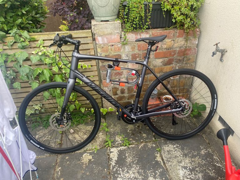 A sleek black bicycle with a lock attached, parked against a brick wall, surrounded by lush green plants.